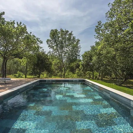 Beautiful With A Pool And A Fenced Garden Villa Medulin